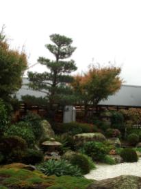Pataka: Zen garden #291