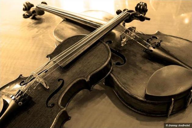 two violins by Danny Andreini